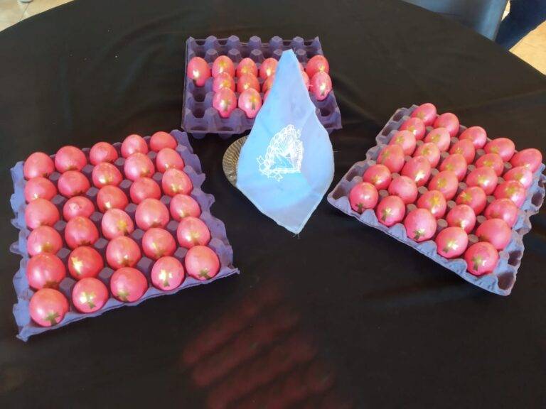 WhatsApp Image 2023-04-07 at 12.09.12 PM